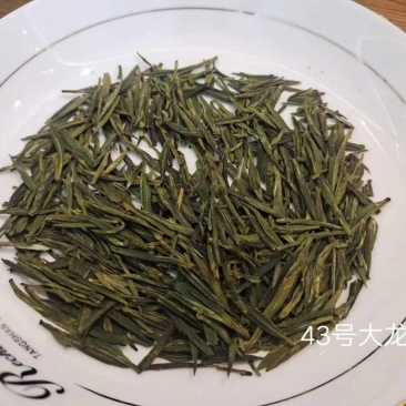 高山绿茶