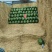 小糖丸2K4K600甜王美都质量三包并有专业团队为你护航