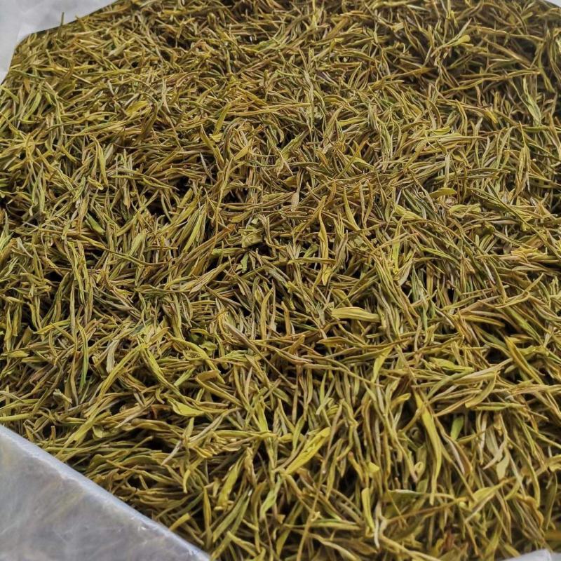 黄金芽，数量有限
