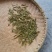 黄金芽，数量有限