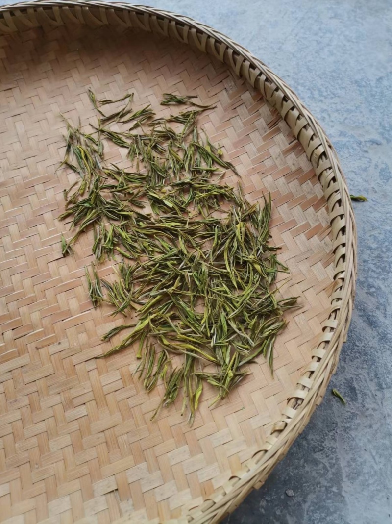 黄金芽，数量有限