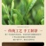 【红茶】野生古树红茶欢迎来电采购高蜜香香茶农直供