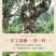 【红茶】野生古树红茶欢迎来电采购高蜜香香茶农直供