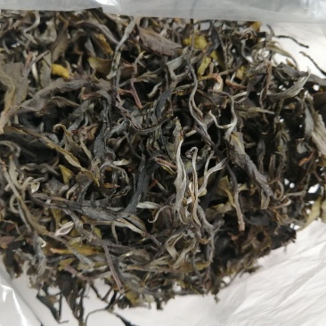 云南普洱茶，下单30斤送一斤