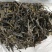 云南普洱茶，下单30斤送一斤