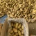 山东土豆产地批发荷兰十五产地货源充足价格便宜