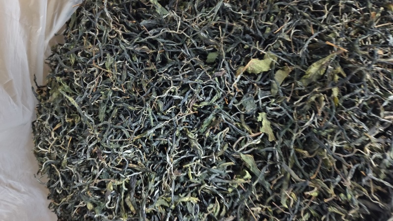 普洱茶夏茶小树