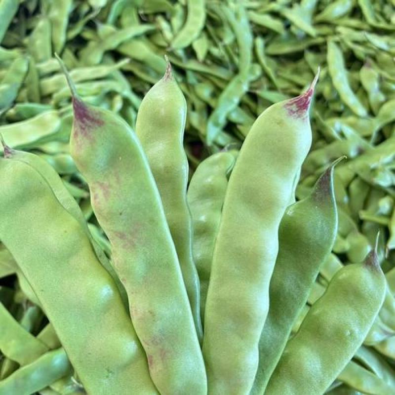 东北吉林大油豆角，油豆角大量上市货源充足！代发全国