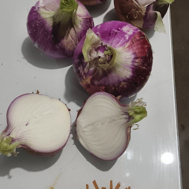 新下来的洋葱