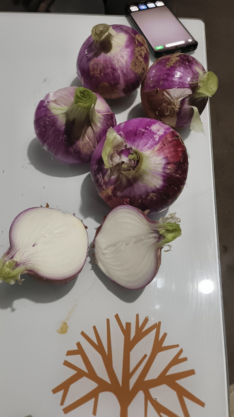 新下来的洋葱