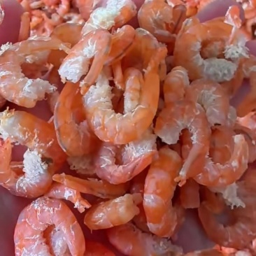 海米虾仁对虾仁原干米质量有保证