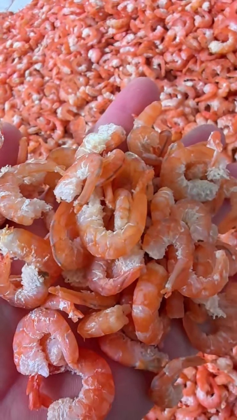 海米虾仁对虾仁原干米质量有保证