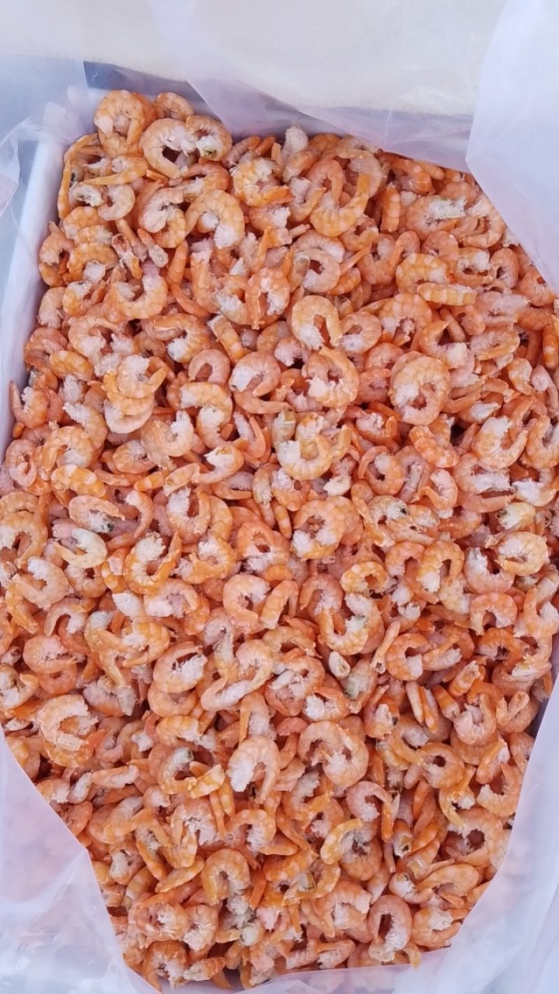 海米虾仁对虾仁原干米质量有保证