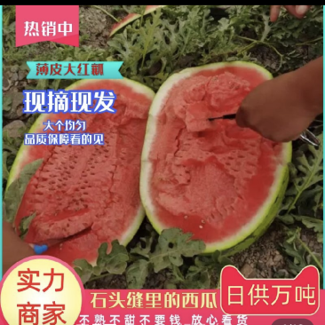 湖北硒砂瓜湖北西瓜皮薄肉多包熟包甜全国代发