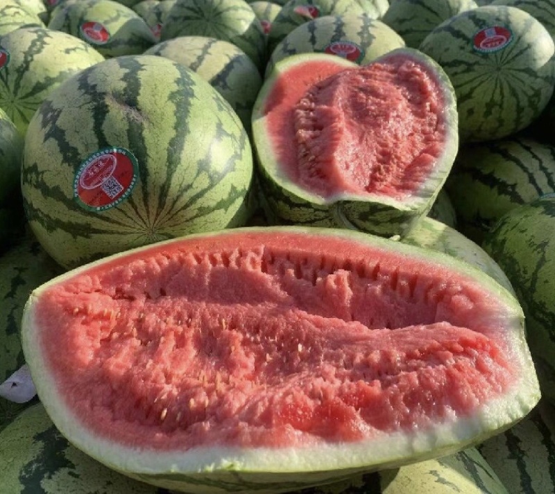 湖北硒砂瓜湖北西瓜皮薄肉多包熟包甜全国代发