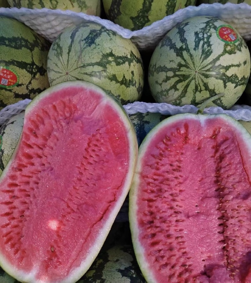 湖北硒砂瓜湖北西瓜皮薄肉多包熟包甜全国代发