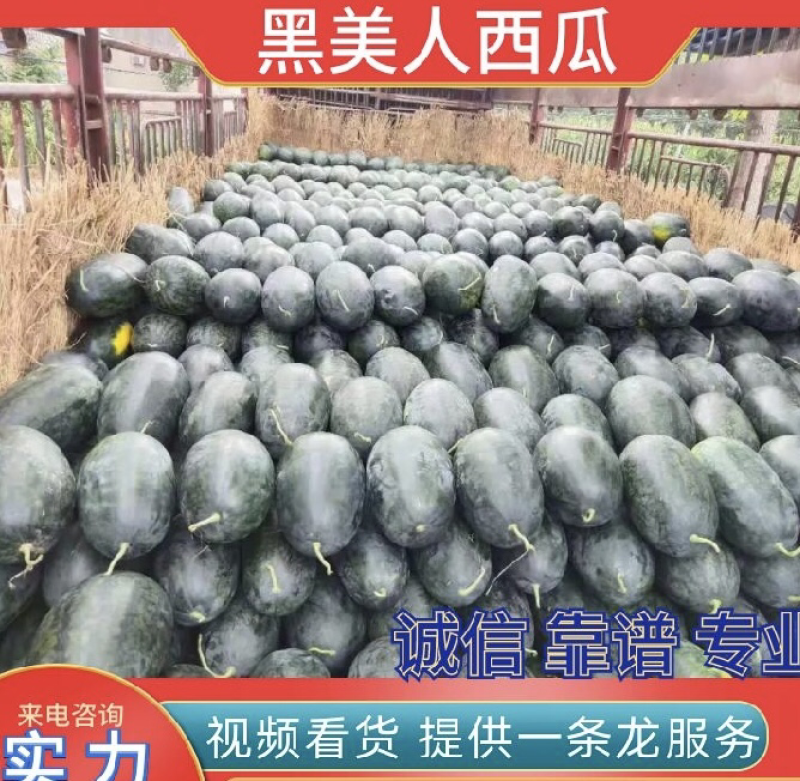 湖北黑美人西瓜，湖北西瓜产地直发品质保证欢迎