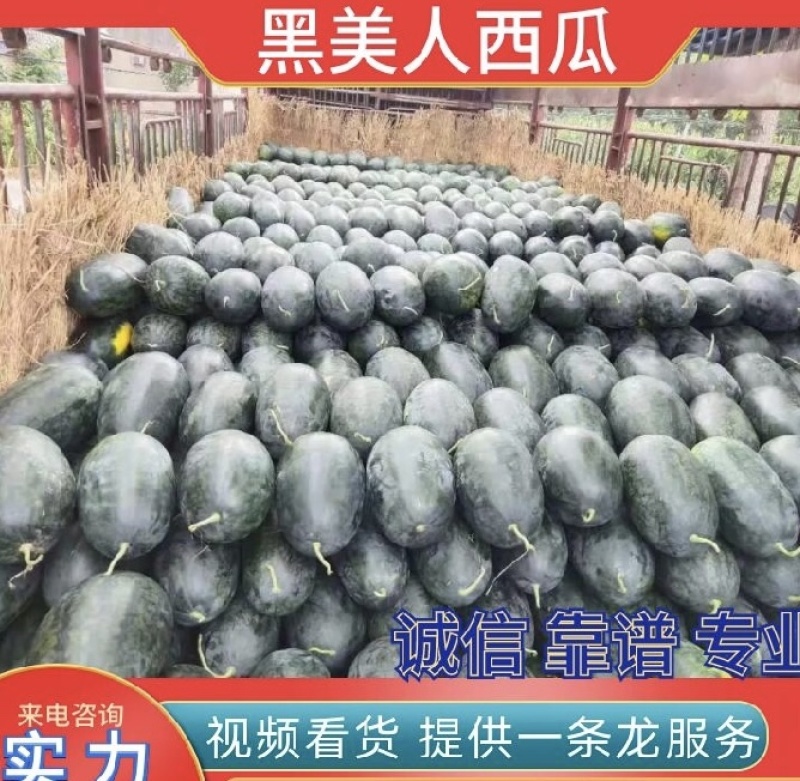 湖北黑美人西瓜，湖北西瓜产地直发品质保证欢迎