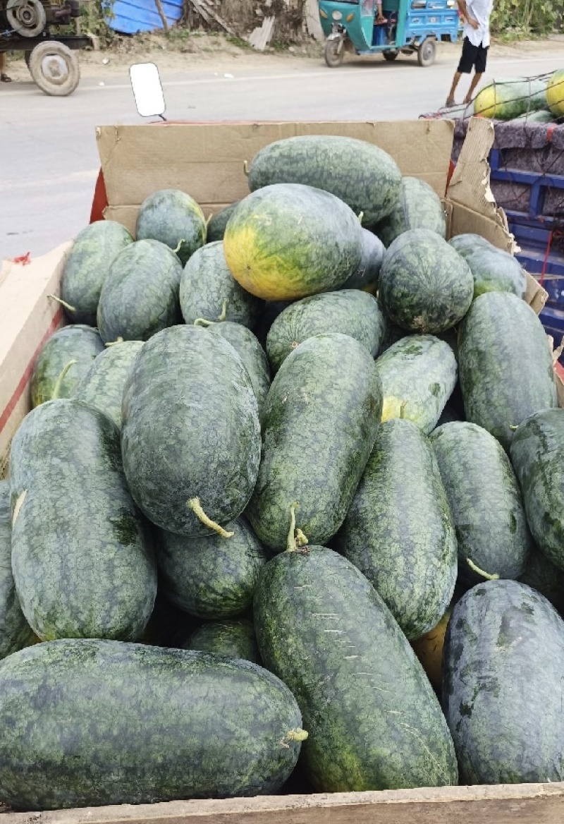 湖北黑美人西瓜，湖北西瓜产地直发品质保证欢迎