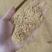 河北精品小米油糠，厂家直发，品质保证规格齐全
