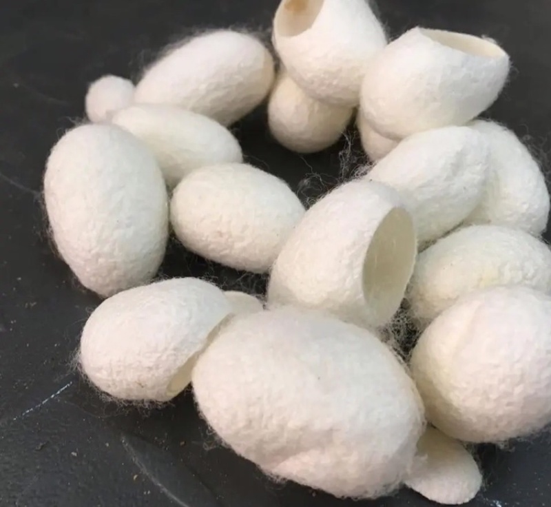 蚕茧江西蚕茧大量供应一手货源可视频看货欢迎咨询