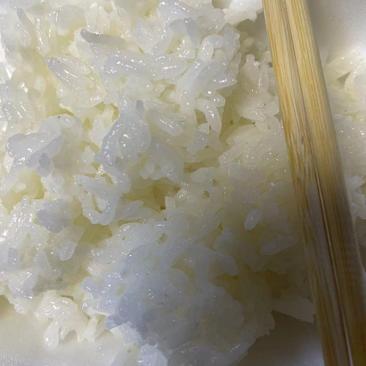 2023新米批发东北五常长粒香大米适合直播带货电商选品