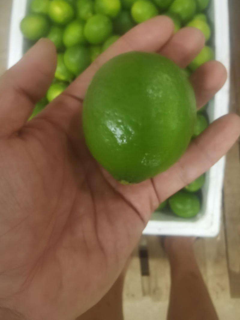 卡西提，无籽青柠檬，价格美丽