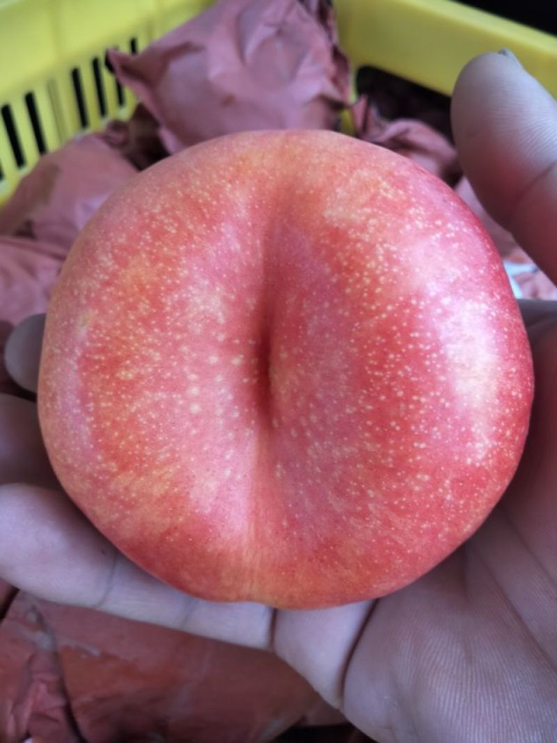 黄油蟠桃
