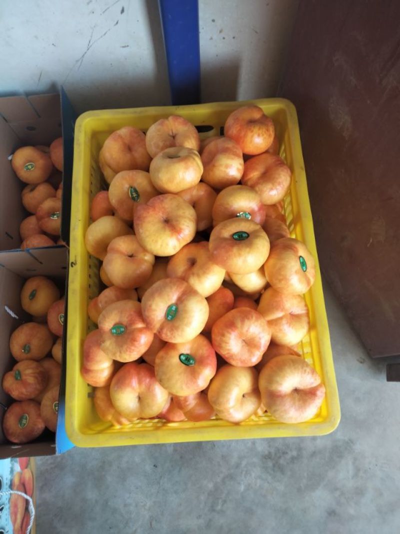 黄油蟠桃