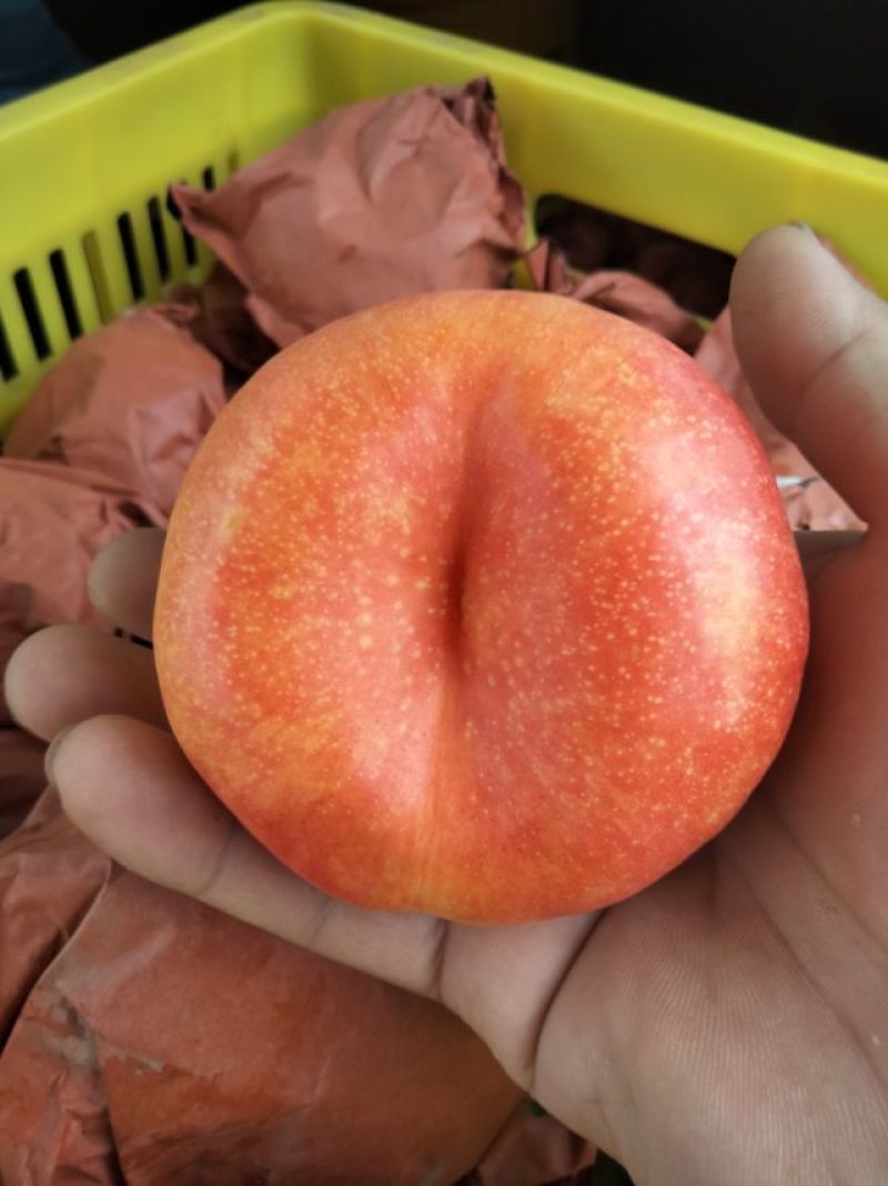 黄油蟠桃