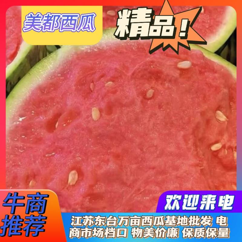 江苏美都西瓜盐城西瓜东台西瓜原产地直发全国档口电商市场