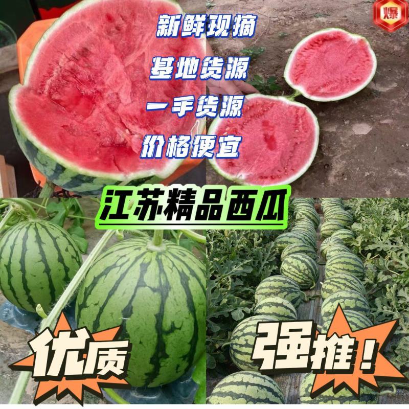 【优惠】江苏西瓜嘉年华五号西瓜原产地一手货源价格
