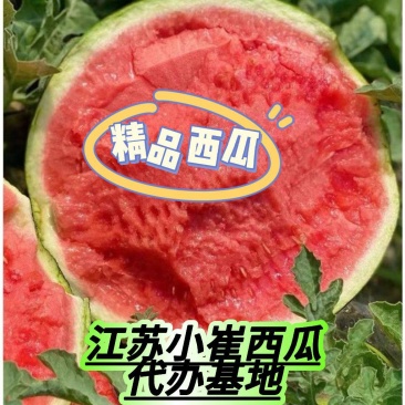 【诚信商家】西瓜无籽美都西瓜原产地一手货源全国发货价格