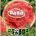 【诚信商家】西瓜无籽美都西瓜原产地一手货源全国发货价格