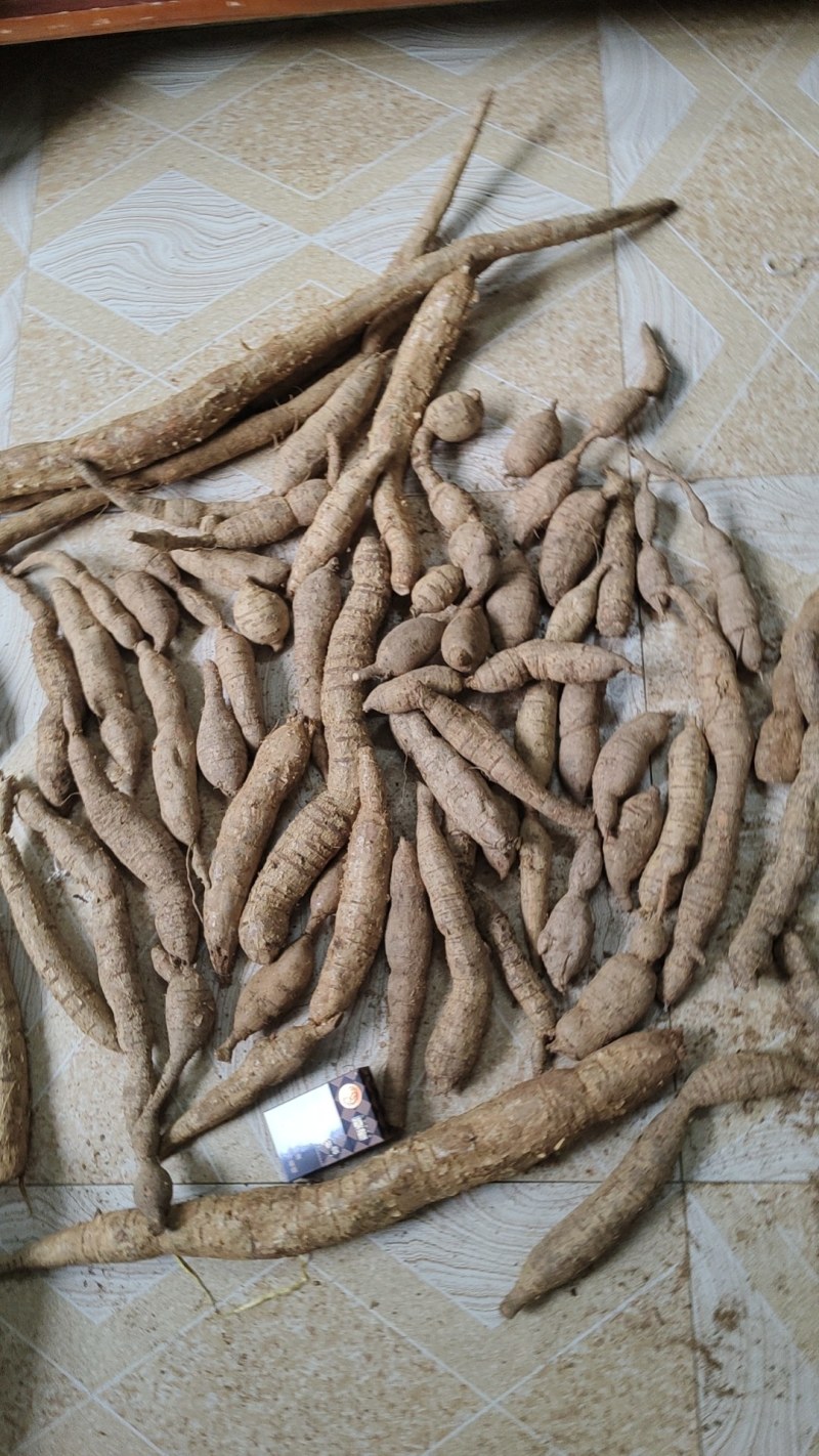 品质保证正宗牛大力产地直发超高性价比等你来购买