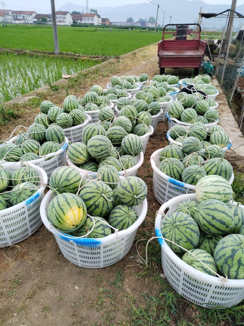 汉中美都