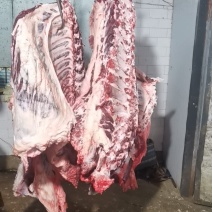 新鲜牛肉纯干无水