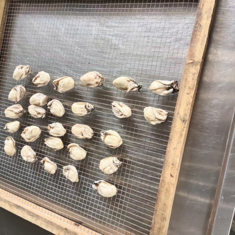 金蚝干，湛江生蚝干大量供应，欢迎电话联系洽谈业务