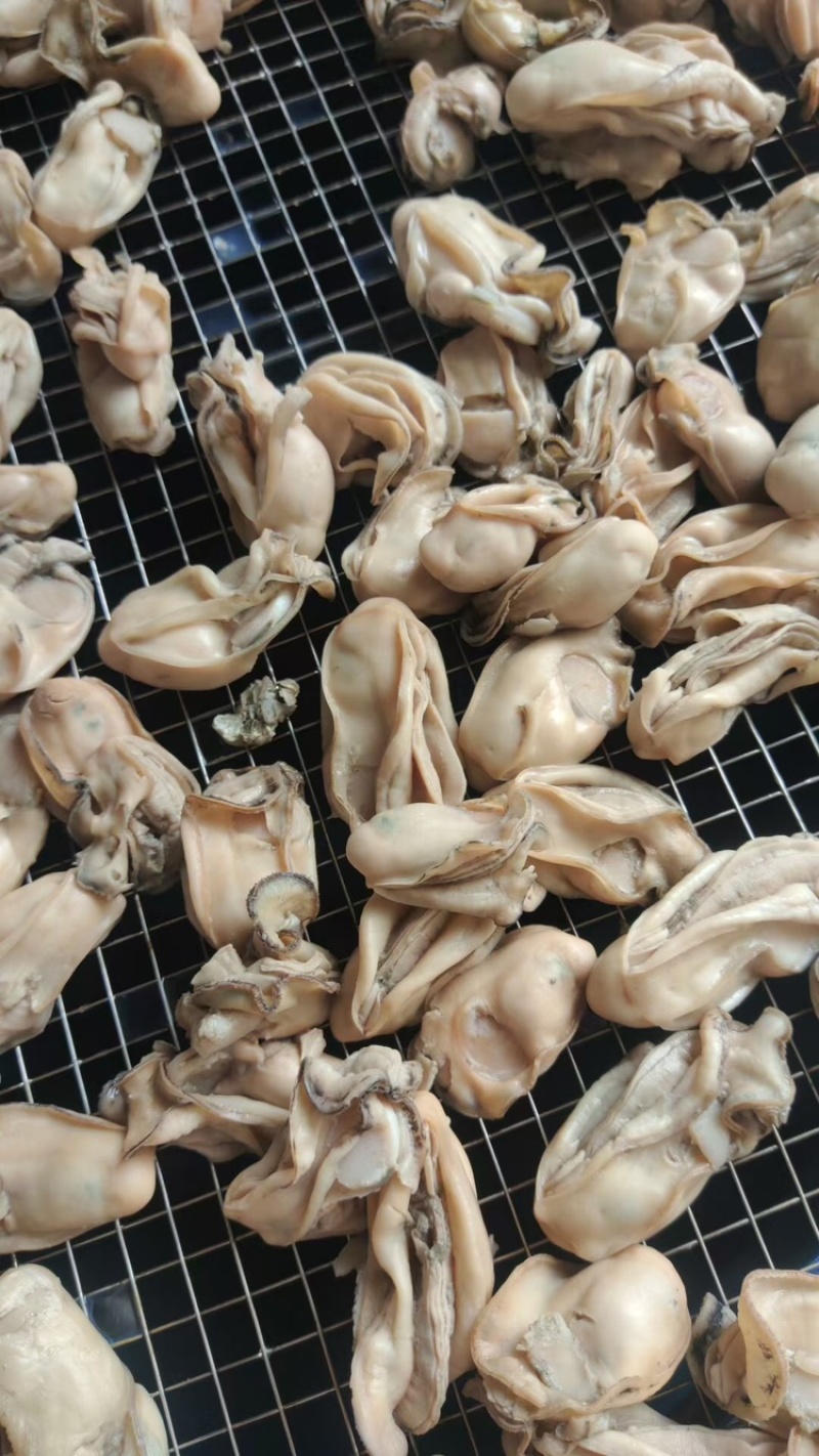 金蚝干，湛江生蚝干大量供应，欢迎电话联系洽谈业务