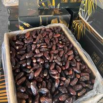 伊朗黑椰枣各种规格都有一手货源价格优惠供应全国