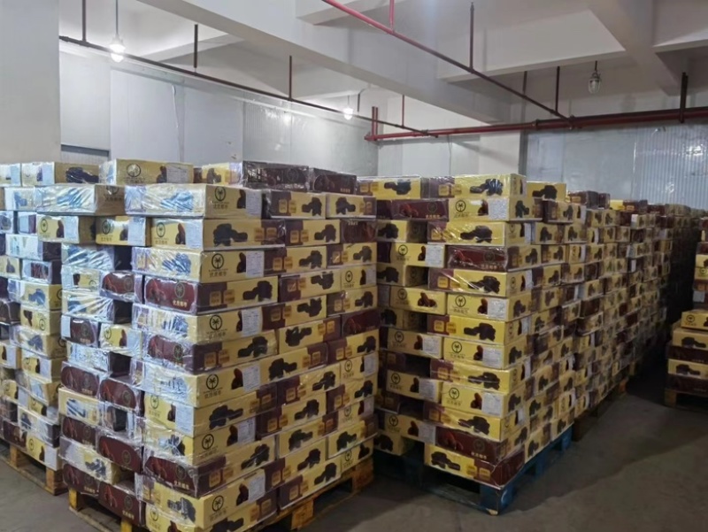 伊朗黑椰枣各种规格都有一手货源价格优惠供应全国