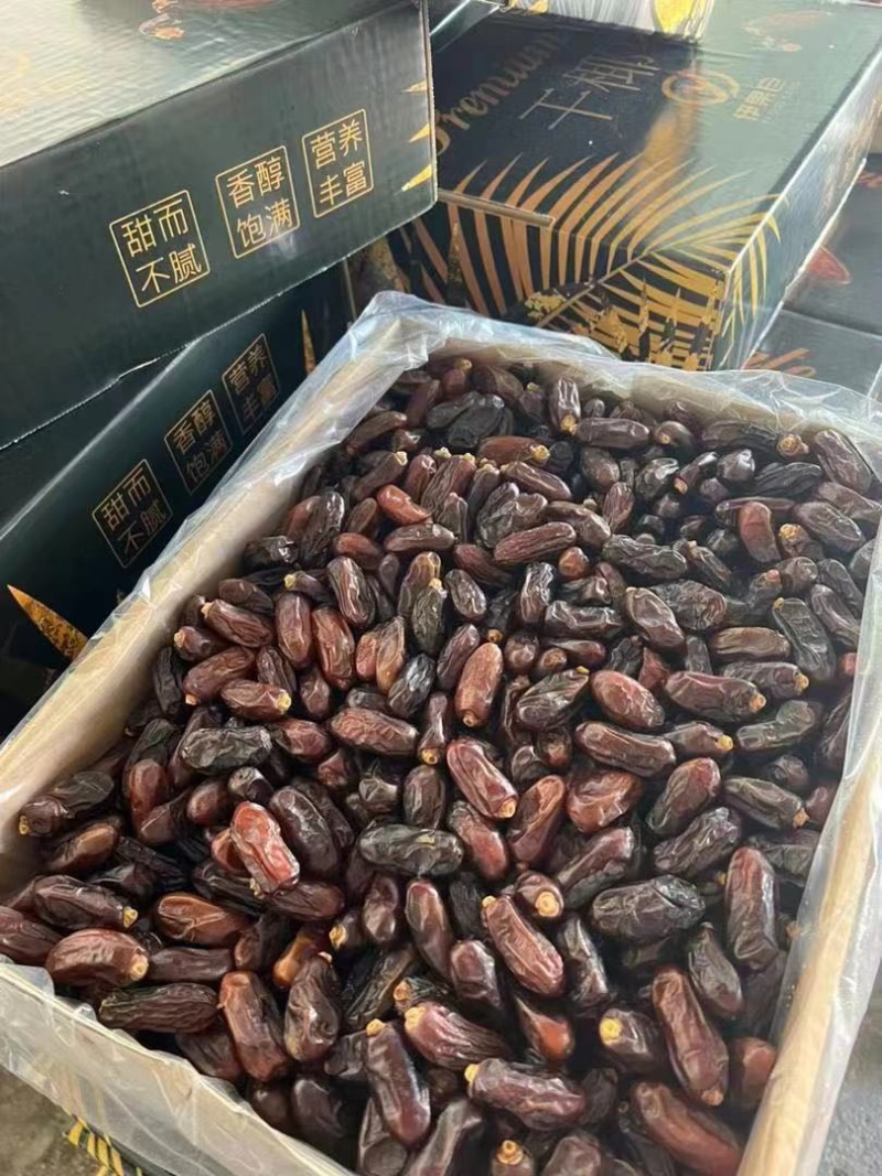 伊朗黑椰枣各种规格都有一手货源价格优惠供应全国