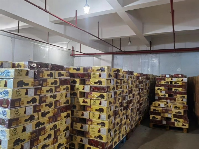 伊朗黑椰枣各种规格都有一手货源价格优惠供应全国