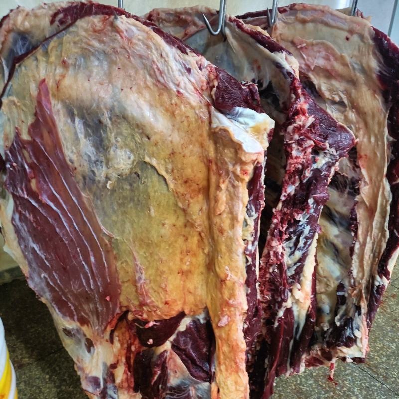 内蒙古锡林郭勒草地黄牛肉，黄膘牛肉牛排，去油。