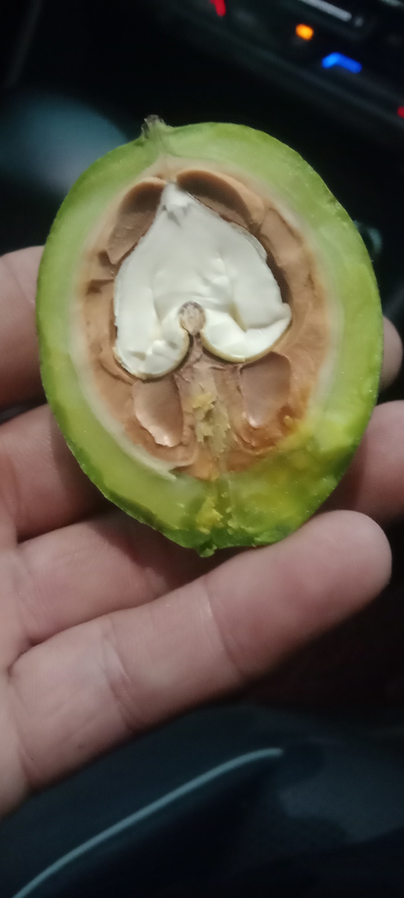 青皮核桃手摘果西伕，中林，清香，大量供货，有需要提前联糸