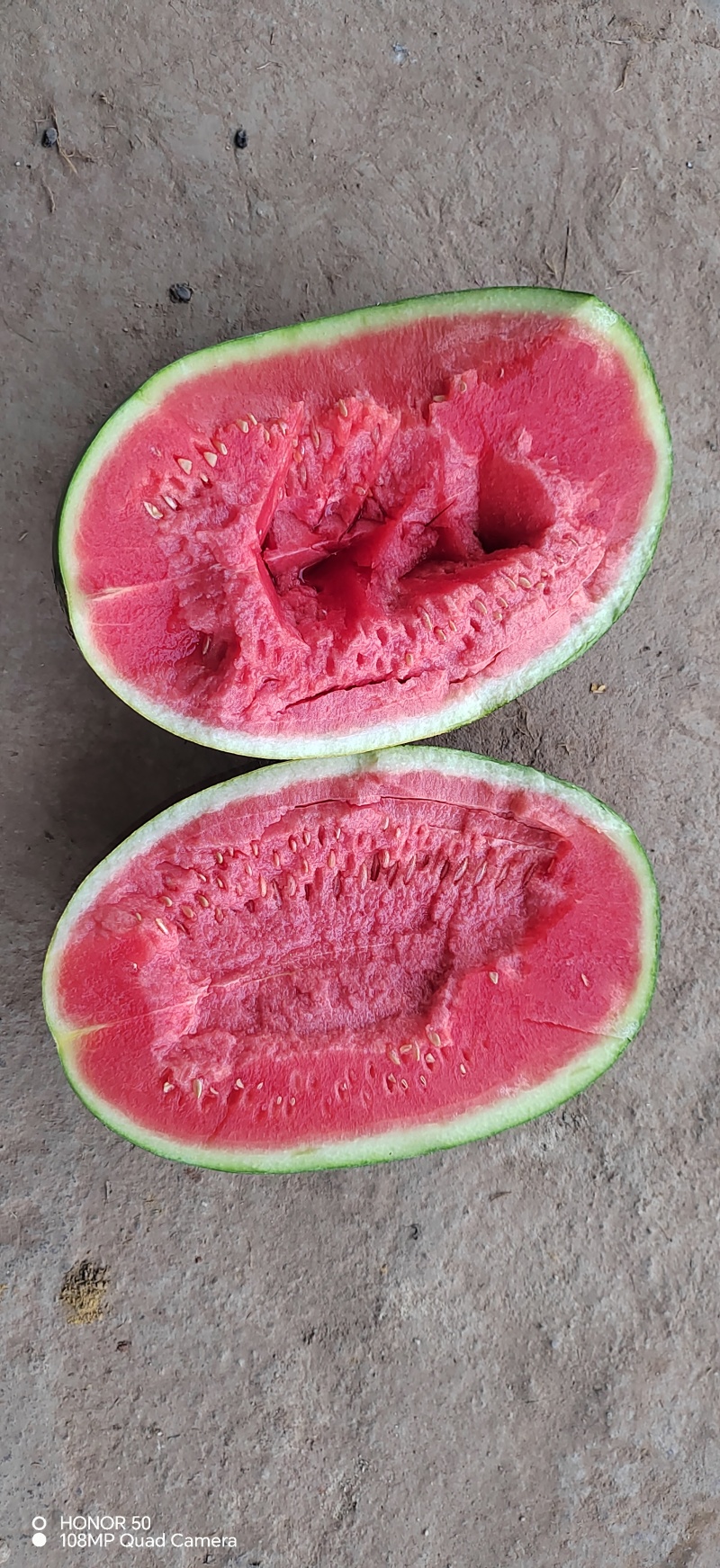 绿裳