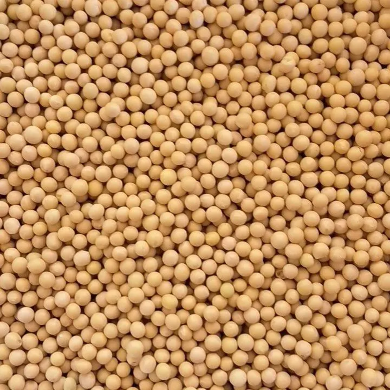 【东升系列】黑龙江大豆精品大颗粒黄豆基地直发品质保证