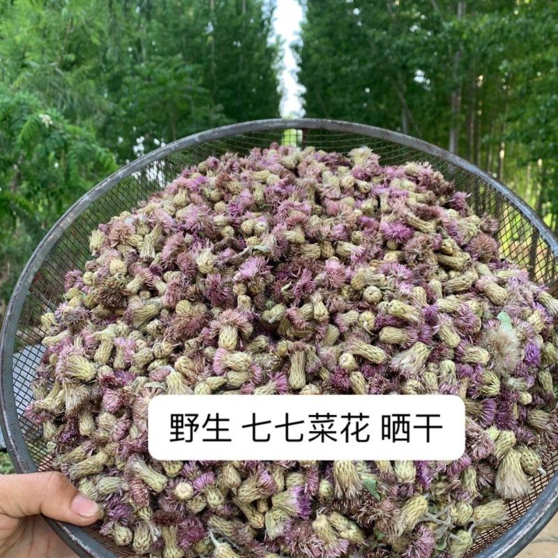 七七菜花
