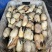 江苏扬州莲藕鄂莲6号鄂莲5号品种齐全量大从优欢迎来电