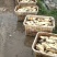 江苏扬州莲藕鄂莲6号鄂莲5号品种齐全量大从优欢迎来电